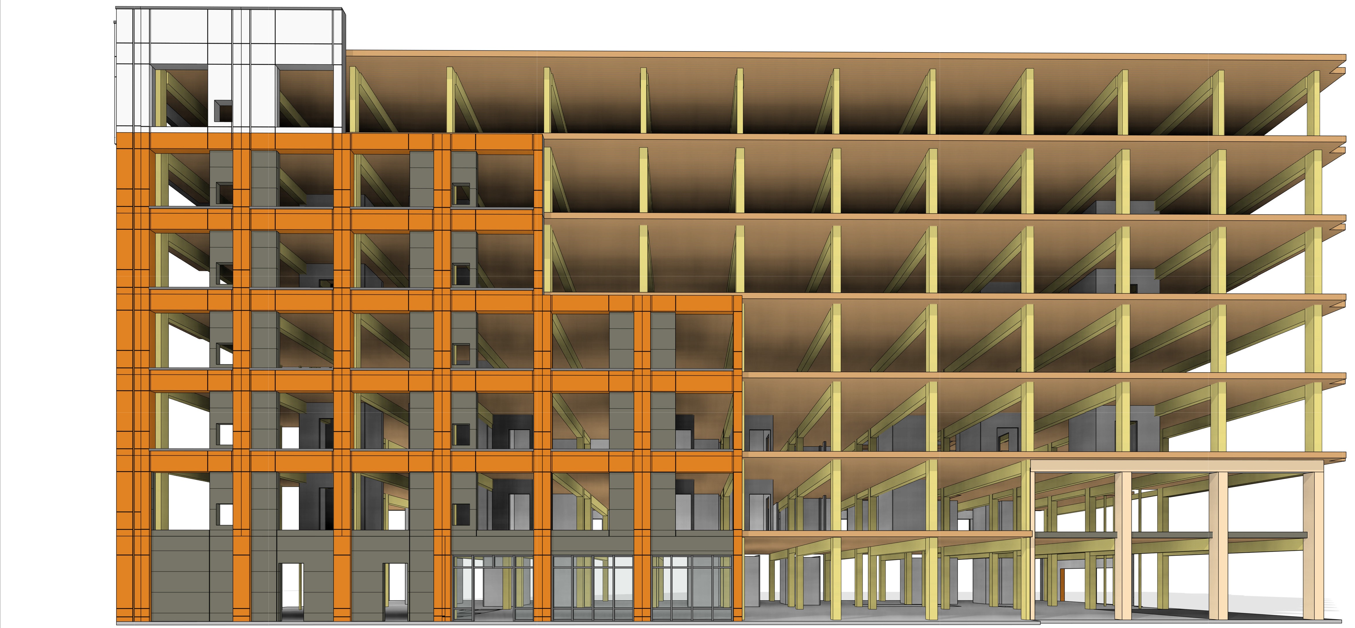 Mass timber framing — sectional view